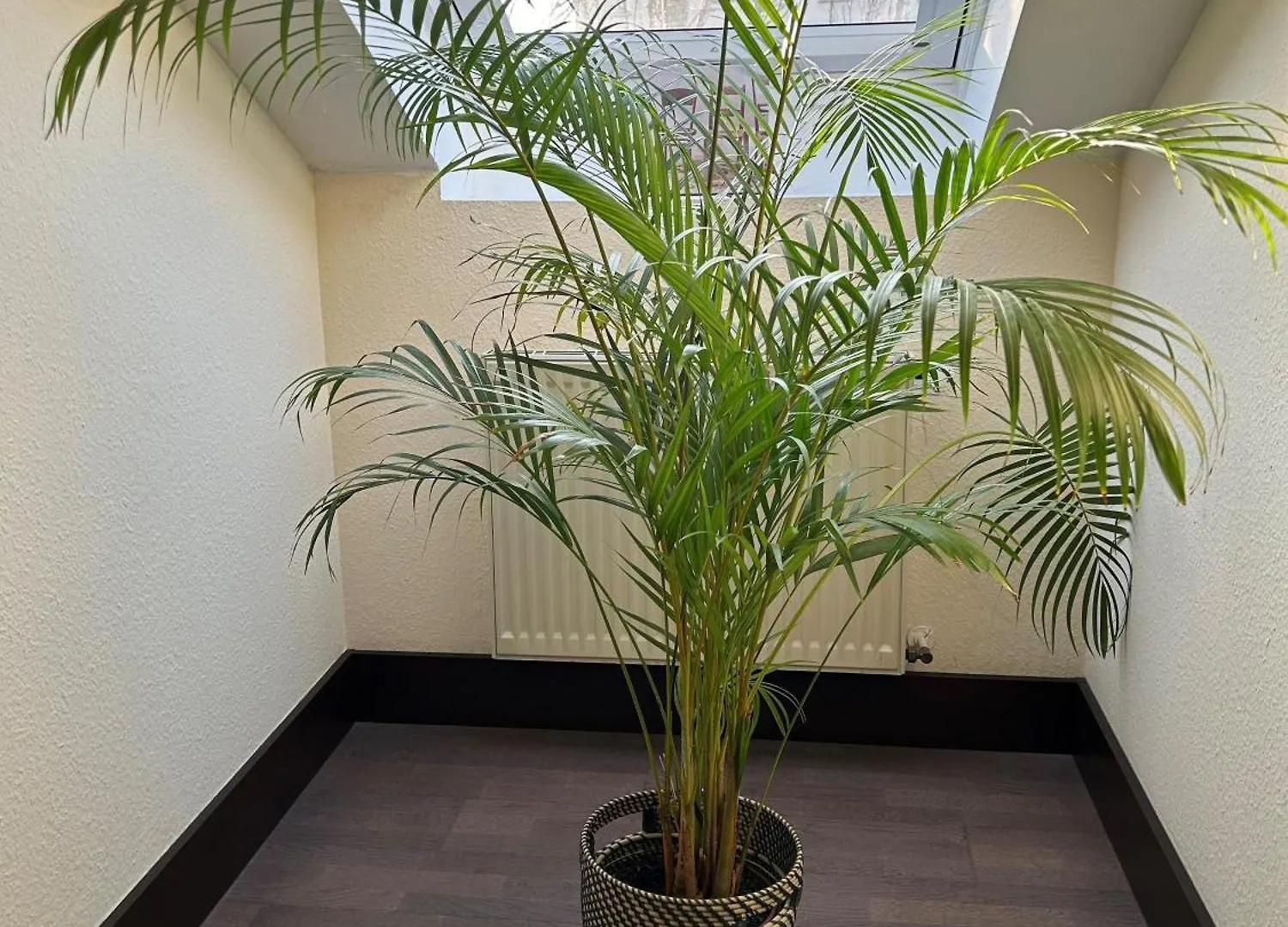 ***  Villa Hotel Frankfurt By Mz Hotelcollection Frankfurt am Main Almanya